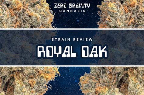 Royal Oak Cannabis Seeds .